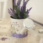 Ferara