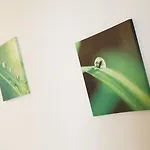 Apartment Ferara