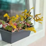 Ferara Apartament *