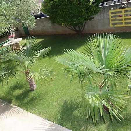 Ferara * Vodice